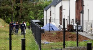 34 UNBORN BODIES IN DOCTOR’S GARDEN